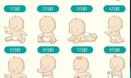 宝宝香、宝宝香powder -婴儿香波图片网